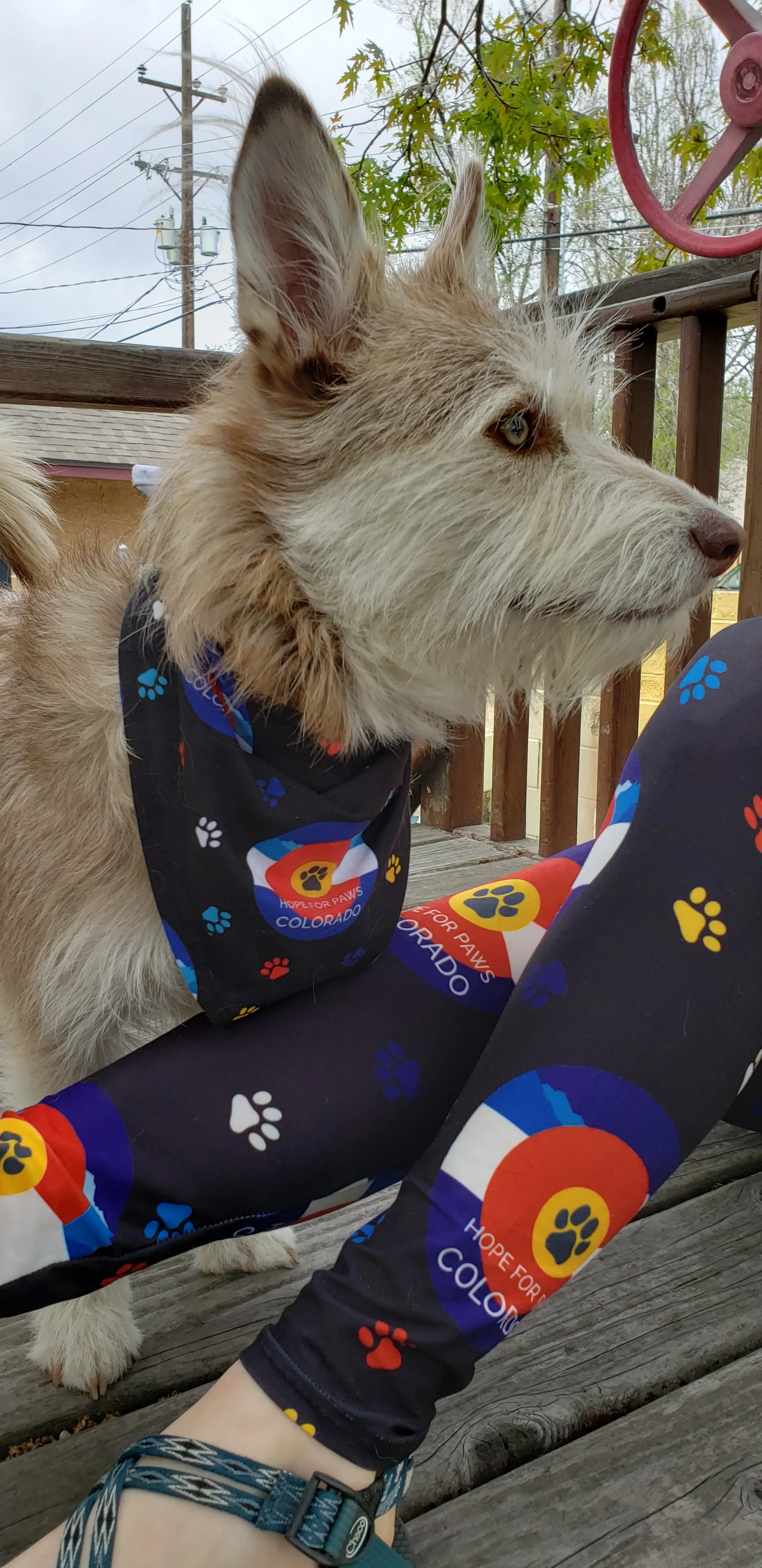 Hope for Paws (Exclusive) FUNDRAISER - High-quality Handcrafted Vibrant Leggings